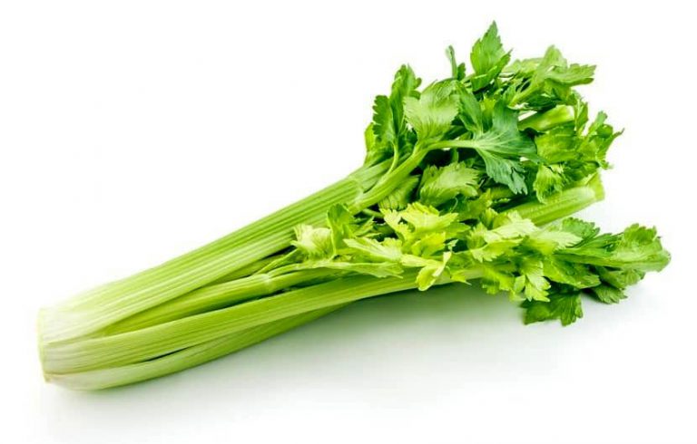گیاه کرفس