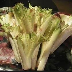 大黄的特性