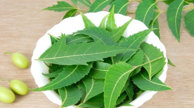 انواع ادویه کباب کوبیده ، معرفی 11 ادویه مخصوص 3 پودر برگ بو برای انواع کباب کوبیده