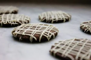 طرز تهیه بیسکویت شکلاتی ساده عالی برای 5 نفر 13 بیسکویت شکلاتی6