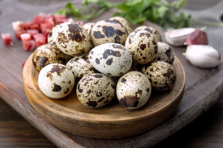 فواید تخم بلدرچین