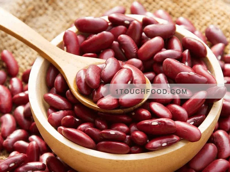 خواص حبوبات بهمراه 10 نکته حساس 4 لوبیا قرمز در خواص حبوبات