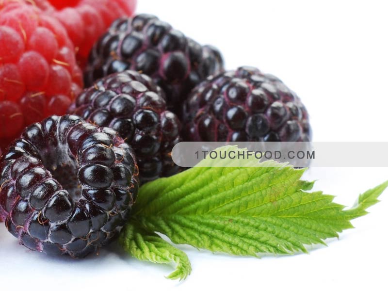 تمشک از میوه های مفید توصیه شده در تابستان