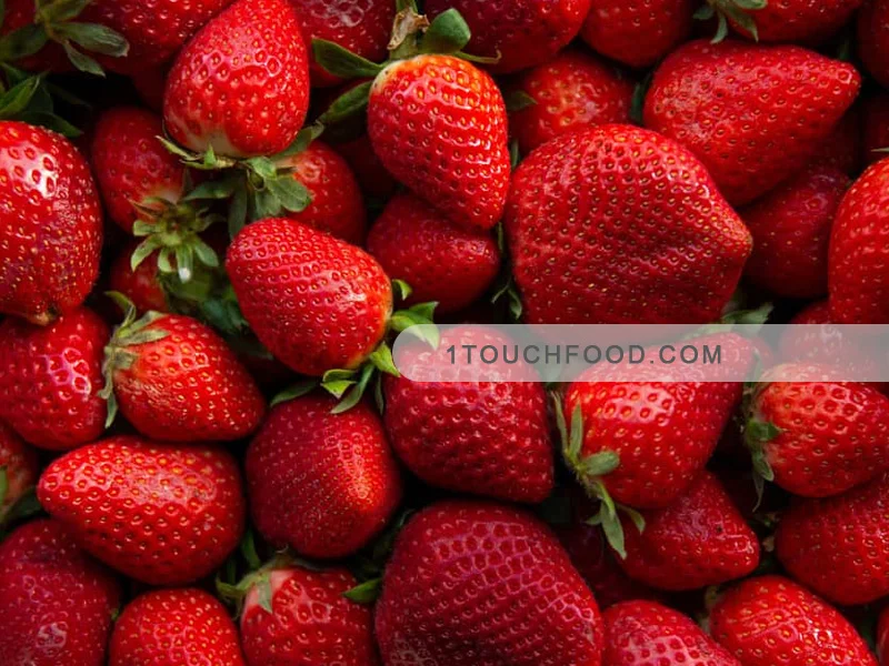 Fresas en la receta de pastel de fresas francés 