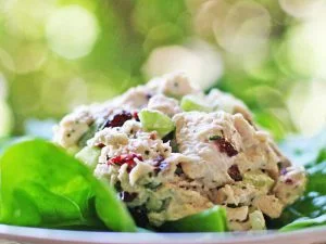 طرز تهیه سالاد مرغ با سیب و گردو 3 نفره 7 تهیه سالاد مرغ با سیب و گردو مخصوص 1