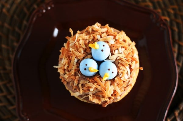 رویه باترکریم شکلاتی برای کاپ کیک لانه پرنده