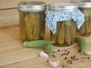 Pickled Okra 01
