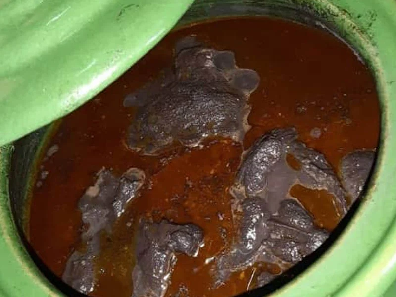 طرز تهیه خورشت فسنجان با مرغ مجلسی 4 نفره 4 نکات مهم در تهیه خورشت فسنجان