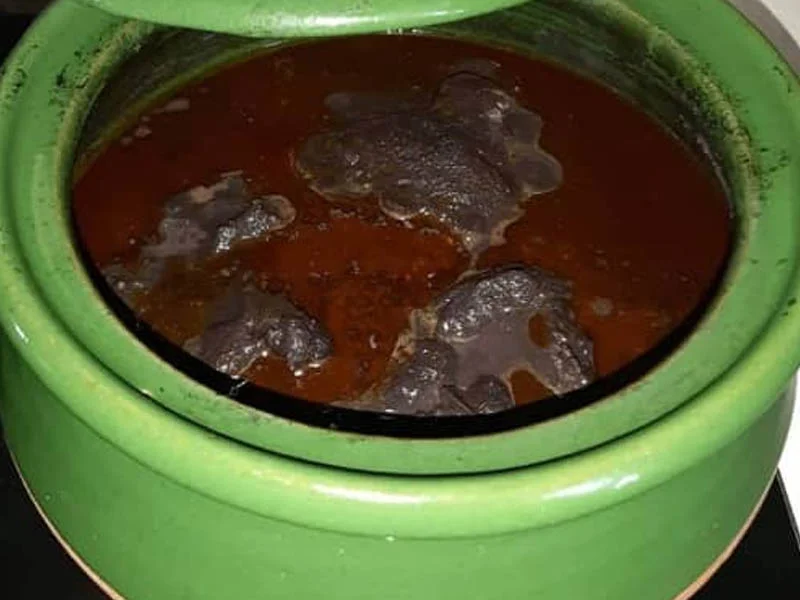 طرز تهیه خورشت فسنجان با مرغ مجلسی 4 نفره 2 فسنجان 04