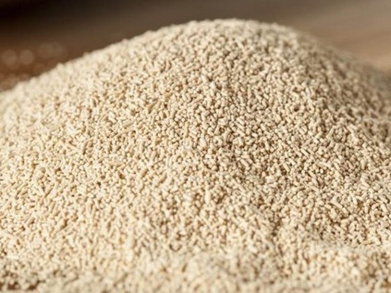 مخمر و کاربرد آن در آشپزی با 3 روش