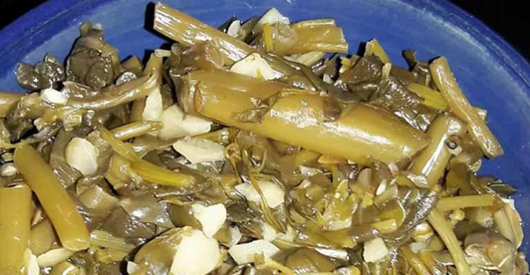 طرز تهیه ترشی خرفه ساده و خوشمزه 10 نفره