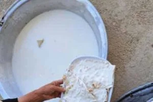 طرز تهیه قیماق یا سرشیر افغانی 2 نفره 4 قیماق ۰۲