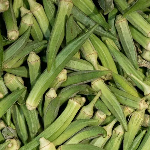 خطوات تجميد البامية