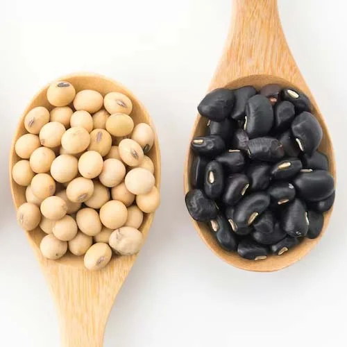 Lista de platos tradicionales iraníes con un máximo de cinco ingredientes y proteínas de origen vegetal