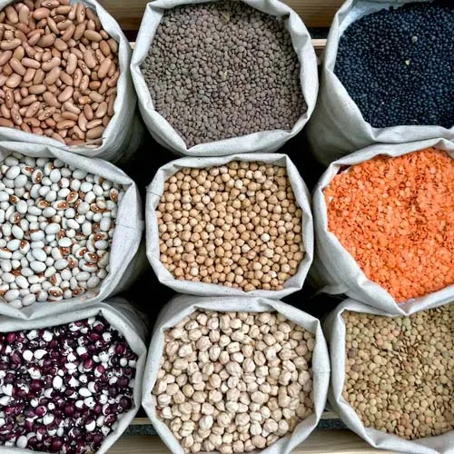 Proteínas vegetales