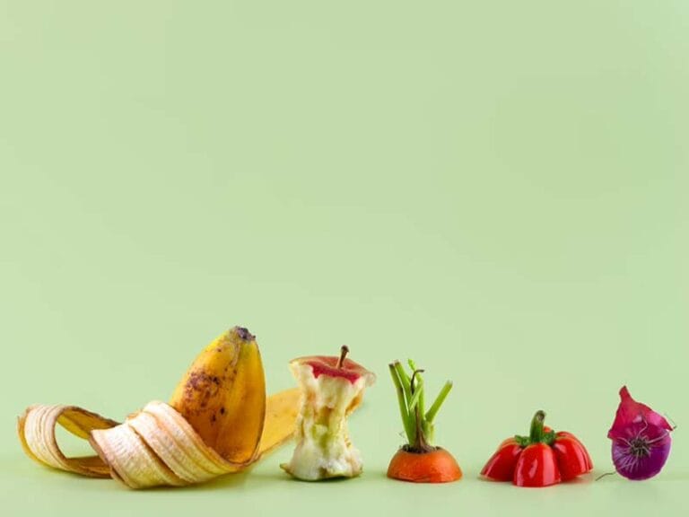 با زباله مواد غذایی در منزل چه کنیم؟
