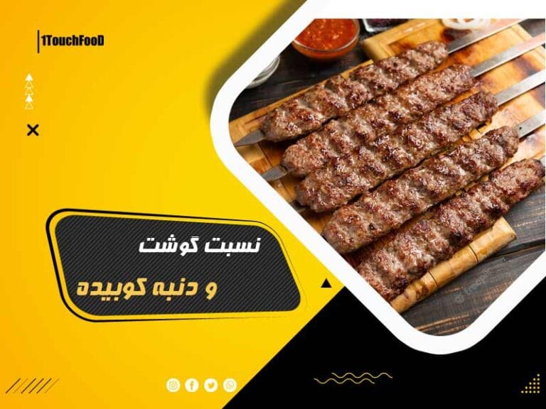 نسبت گوشت و دنبه کوبیده: بهترین ترکیب مواد کباب کوبیده