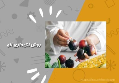 روش نگهداری آلو: از تازگی لذت ببرید