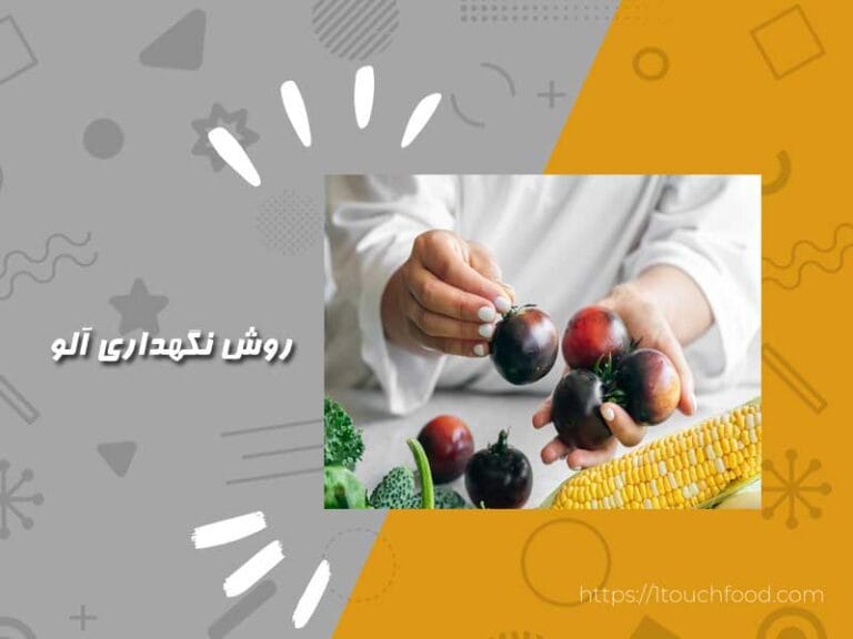 روش نگهداری آلو: از تازگی لذت ببرید