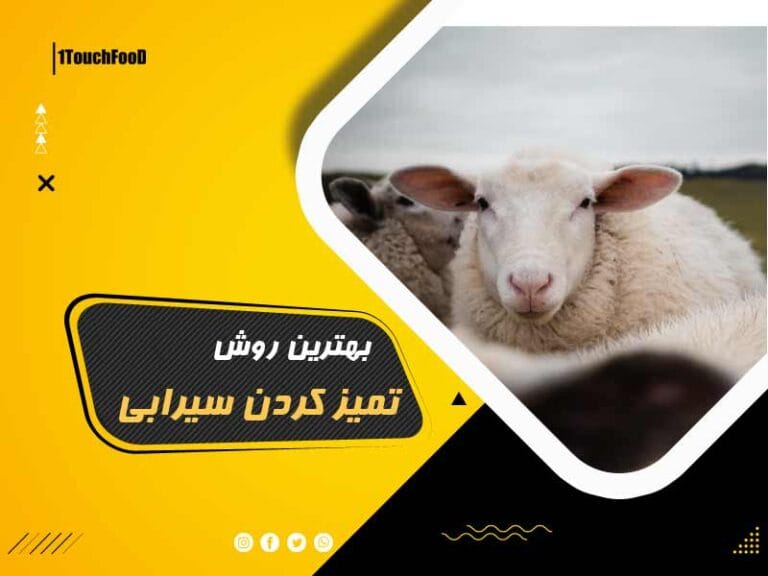 روش تمیز کردن سیرابی مخصوص حرفه ای ها