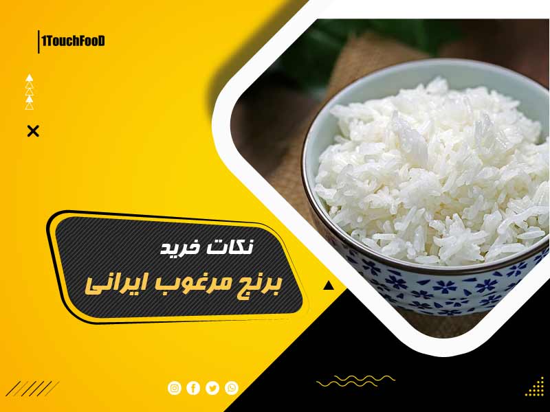 نکات خرید برنج مرغوب ایرانی از بهترین برنج ها با 11 راز