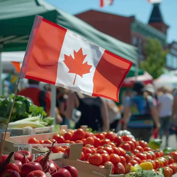 Types of Culinary Degrees in Canada