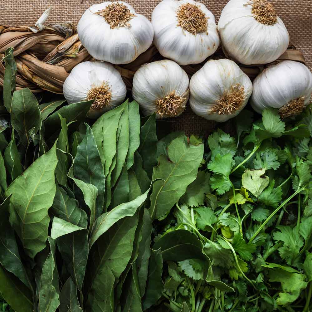 سبزی های معطر برای سوپ ها