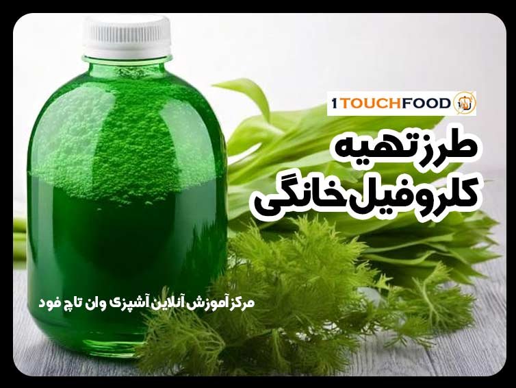 طرز تهیه کلروفیل خانگی: راهنمای جامع و کاربردی