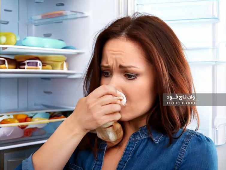 بهترین روش‌ها برای از بین بردن بوی بد یخچال