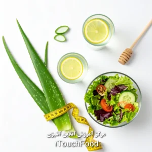 آموزش آنلاین آشپزی وان تاچ فود 50 آلوئه ورا برای لاغری: فواید، طرز استفاده و نکات کلیدی