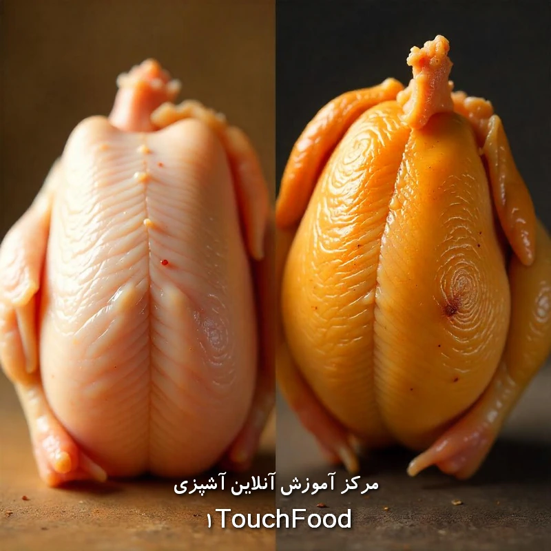 نحوه تشخیص مرغ تازه: نکاتی برای خرید ایمن و سالم