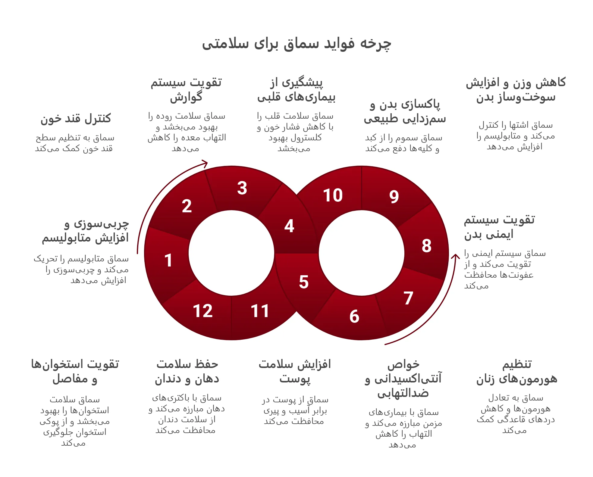 سماق برای لاغری و سلامتی: ۱۲ خاصیت علمی + روش مصرف (هشدارها!) 2 ۱۲ خاصیت اصلی سماق برای لاغری و سلامتی