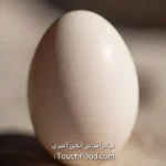 جدول دقيق وكامل لسعرات البيض وقيمته الغذائية لكل 100 غرام