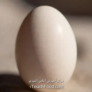 آموزش آنلاین آشپزی در 1TouchFood: بهترین دوره آنلاین آشپزی و کلاس آشپزی در خانه با ۳۰۰۰+ رسپی 8 کالری تخم مرغ و جدول ارزش غذایی آن در 100 گرم دقیق و کامل