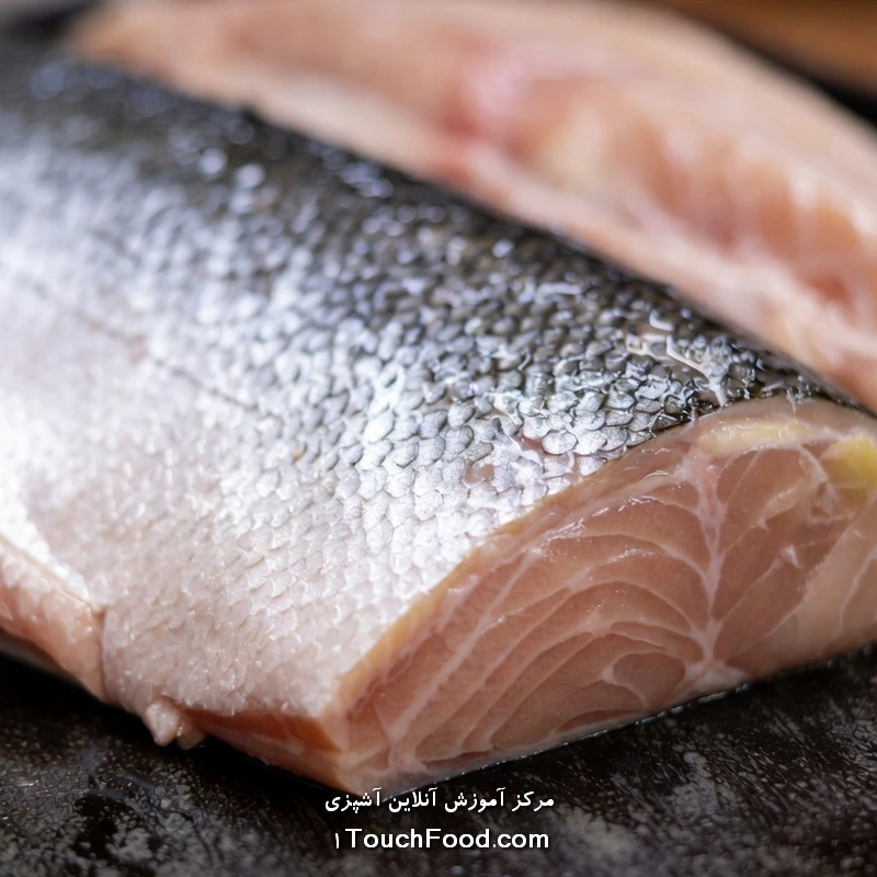 کالری ماهی سالمون و جدول ارزش غذایی آن در 100 گرم | دقیق و کامل