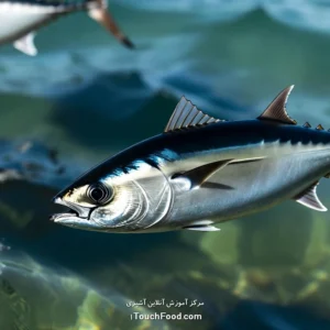 آموزش آنلاین آشپزی در 1TouchFood: بهترین دوره آنلاین آشپزی و کلاس آشپزی در خانه با ۳۰۰۰+ رسپی 7 کالری ماهی تن و جدول ارزش غذایی آن در 100 گرم | دقیق و کامل