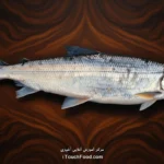 کالری ماهی سفید و جدول ارزش غذایی آن در 100 گرم | دقیق و کامل