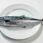 کالری ماهی شیر و جدول ارزش غذایی آن در 100 گرم | دقیق و کامل