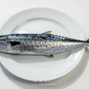 آموزش آنلاین آشپزی در 1TouchFood: بهترین دوره آنلاین آشپزی و کلاس آشپزی در خانه با ۳۰۰۰+ رسپی 6 کالری ماهی شیر و جدول ارزش غذایی آن در 100 گرم | دقیق و کامل