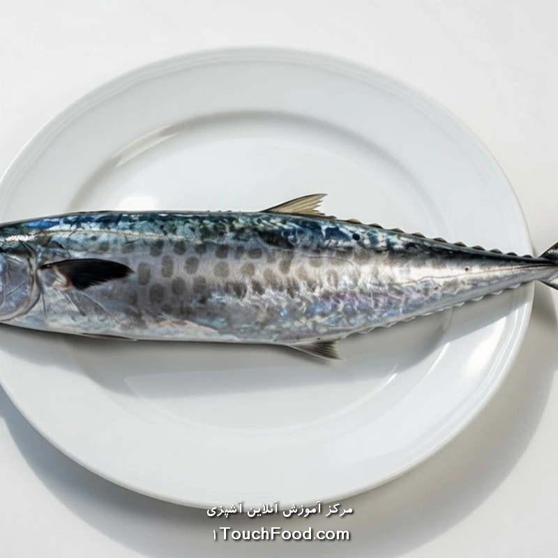 کالری ماهی شیر و جدول ارزش غذایی آن در 100 گرم | دقیق و کامل