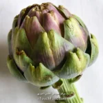 کالری آرتیشو و جدول ارزش غذایی آن در 100 گرم | دقیق و کامل