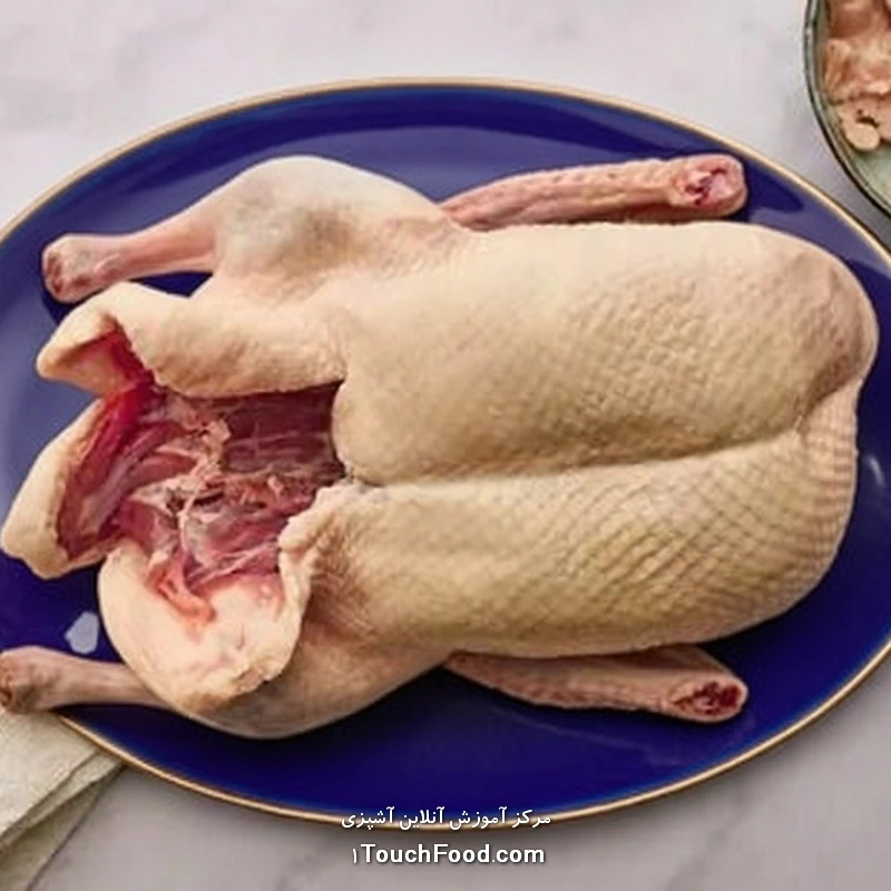 کالری گوشت اردک و جدول ارزش غذایی آن در 100 گرم | دقیق و کامل