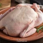 کالری گوشت غاز و جدول ارزش غذایی آن در 100 گرم | دقیق و کامل